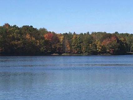 October 2017
Fall Color Run
Siren Wisconsin